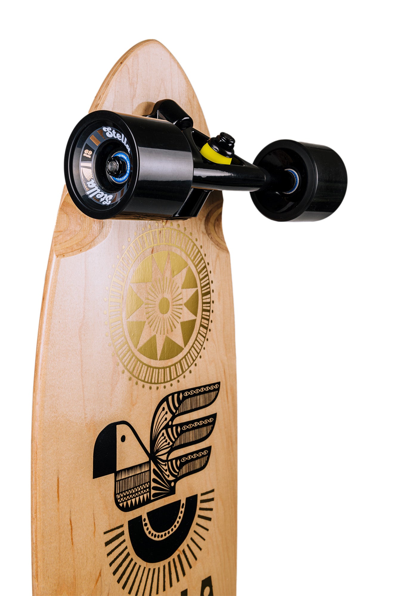 Stella 38” Bluntnose Pintail Macaw Longboard Complete